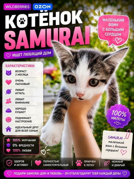 Отдам котёнка в добрые. Руки 2 месяца