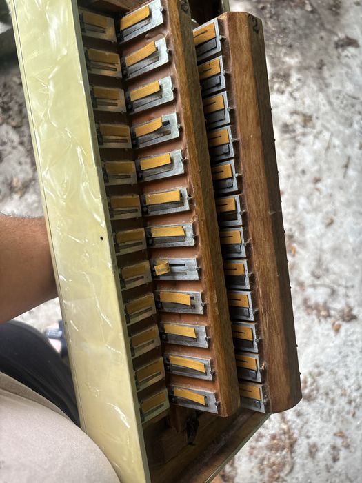 Acordeon Scandalli cu 96 de basi