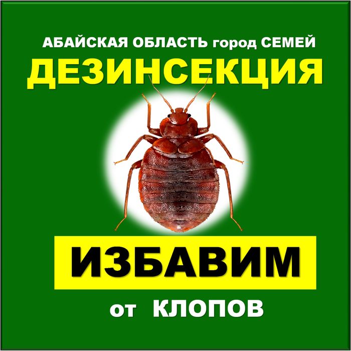 Уничтожение клопов қандаланы жою дезинфекция клопов 10 000 тг