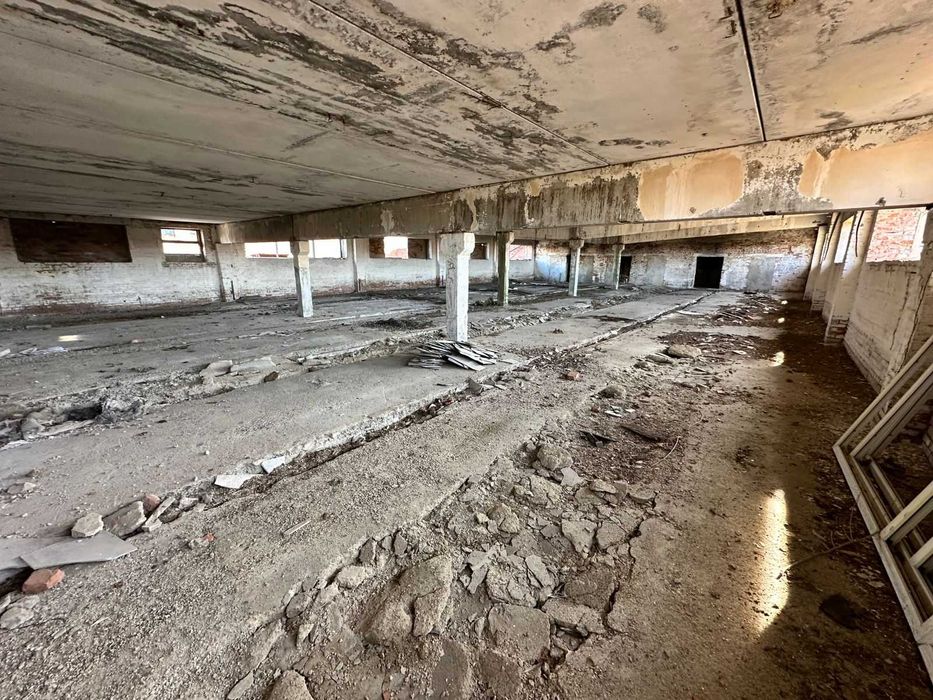 В продаже База новоявленка Алаш 1