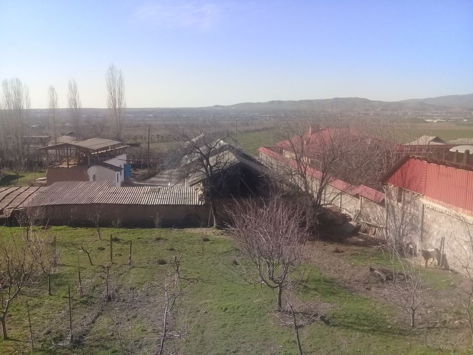 Уй сотилади! Бустонлик тумани Янги аул махалласида!