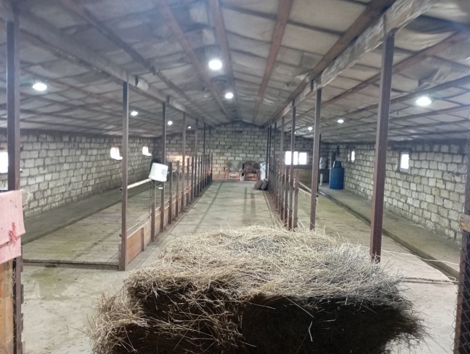 Продам дом с большим сараем срочно