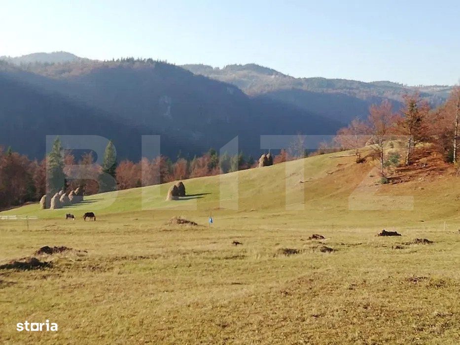 Teren de vanzare, Scarisoara,  ideal pentru cabana