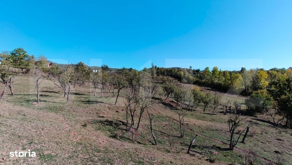 Teren extravilan cu priveliste superba , livada si potential casute de