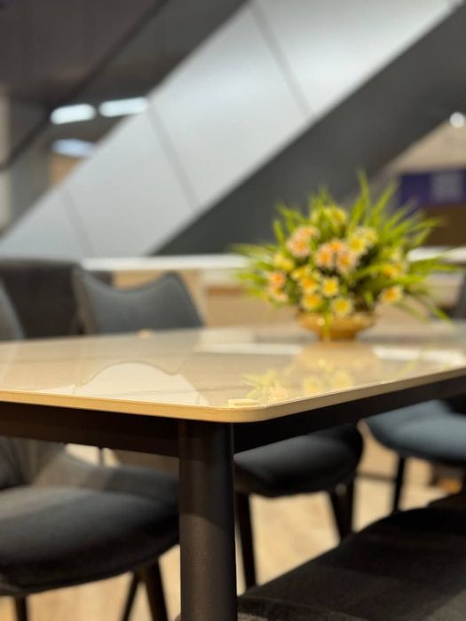 Обеденный стол стул 6/1