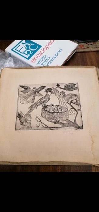 Gravuri Chirnoaga Marcela.