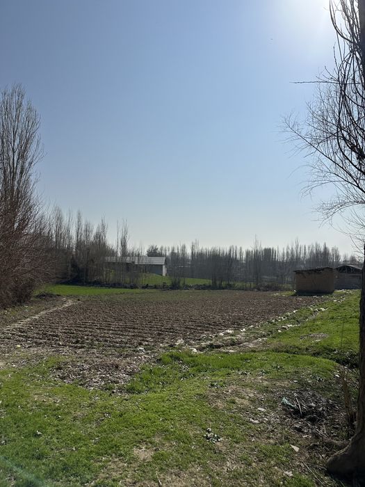 Yer sotiladi srochna arzonga