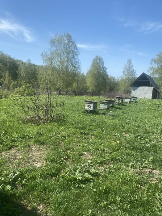 Продам крестьянское хозяйство!