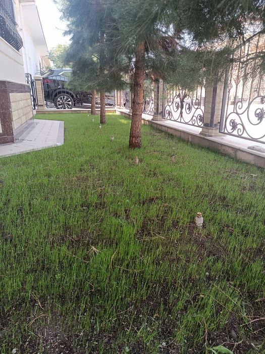 Bogʻbonchilik hizmati