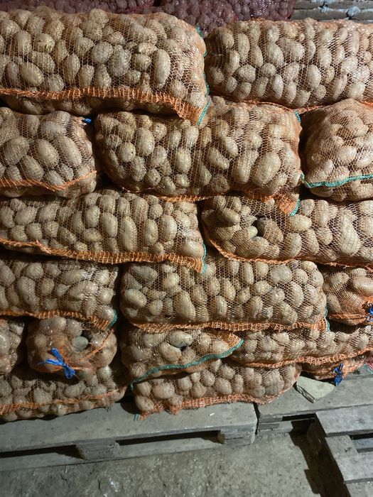 Cartofi consum alb si rosu