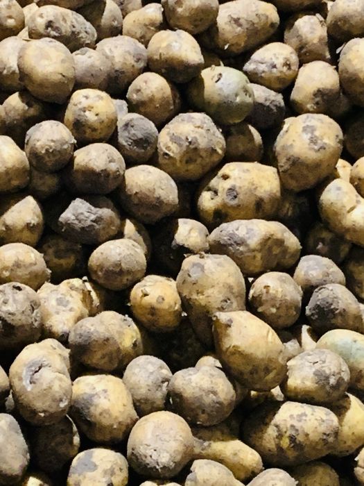 Продам кормовой картофель