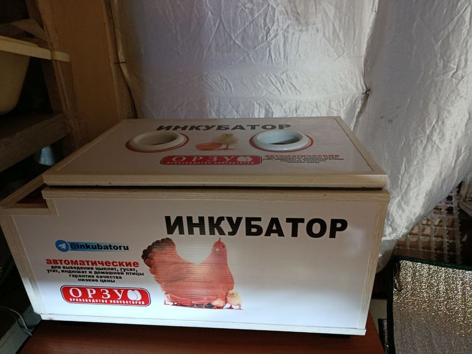 Orzu inkubator 150 tali  B/U