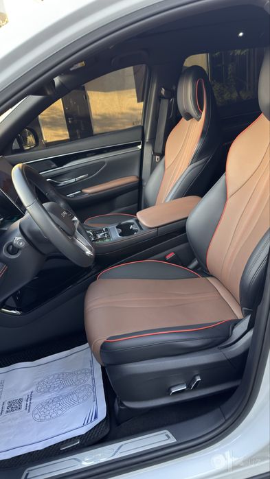 Byd chempion Dm-i