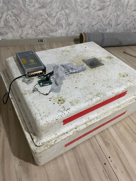 Несушка инкубатор