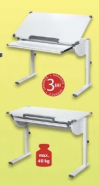 Birou copii reglabil