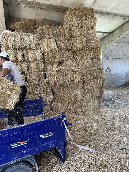 Somon press katta olchamda