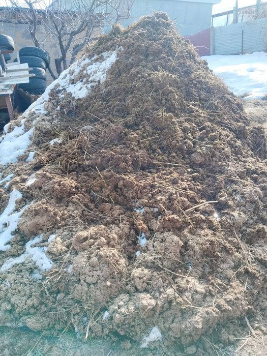 Отдам даром  навоз