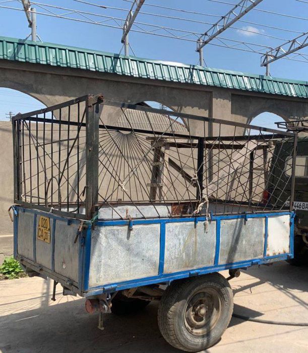 Srocna Prsep sotilad