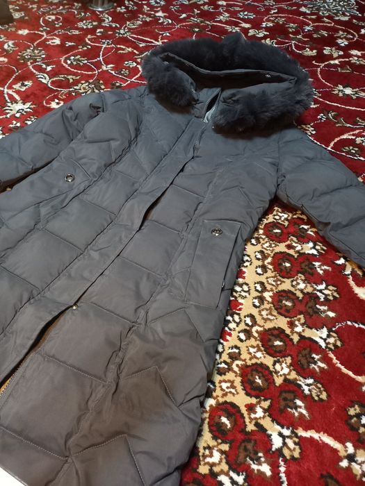 Ayollar kurtkasi baloniviy