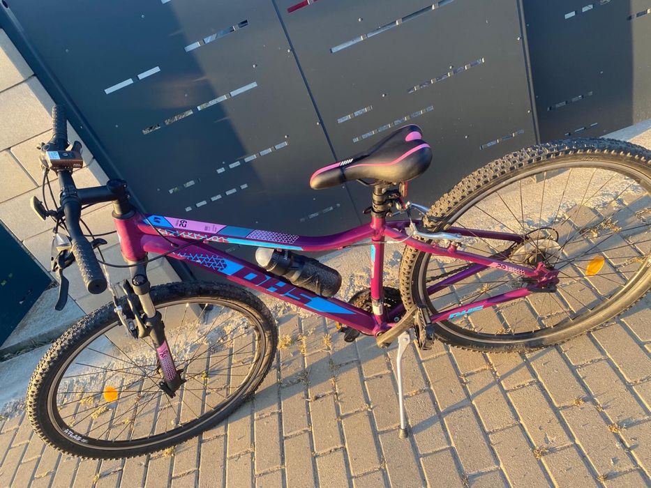 Bicicletă afisport DHS