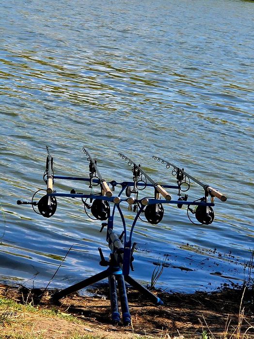 Vand rod pod Meccanica Vadese Nick Revolution
