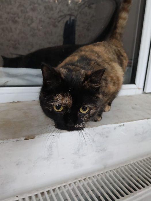 Галюся ищет любящую семью