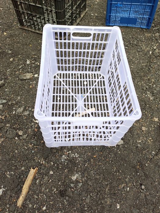 Ящики пластмассовые б/у.