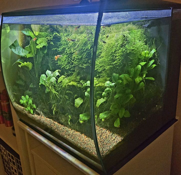 Acvariu Fluval Flex 57