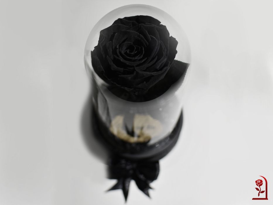 ЕСТЕСТВЕНА Вечна Черна Роза в стъкленица / Оригинален Подарък за Жена