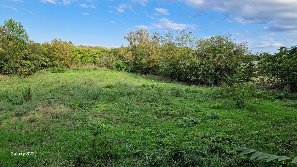 Продава се Парцел в с. Езерец, Област Добрич - 1929 кв.м за 31 €/кв.м - Снимка #2