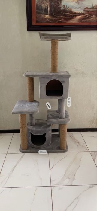 Бенгальский кот и домик