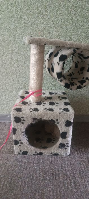 Домик для кошек животные