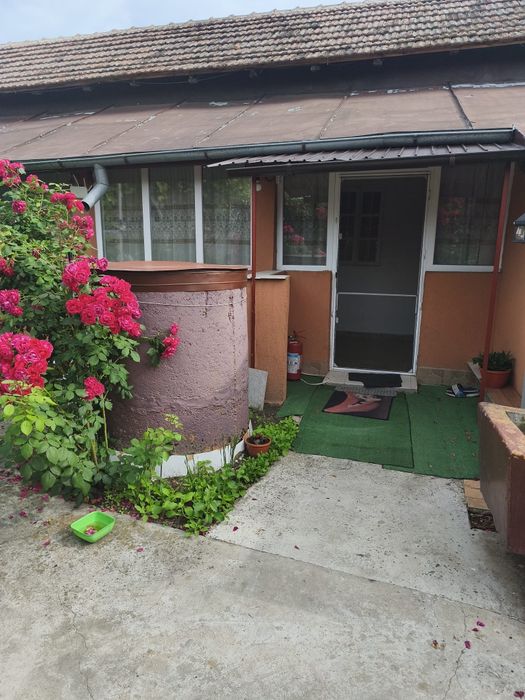 Vând sau schimb cu apartament, casă cu grădină