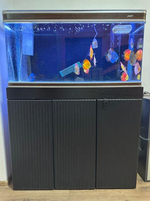 Аквариум + тумбочка