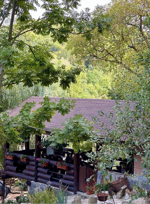 Cazare Casa TES - Camere de inchiriat, Craciun, Vila, Cabana, Pensiune