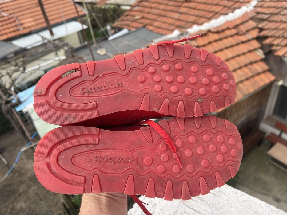 Reebok Classic Red 43