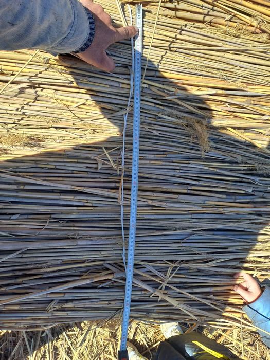 Қамыс (маты плита)