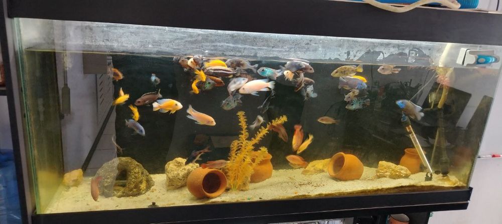 Продаётся аквариум