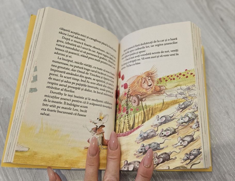 Vrajitorul Din Oz - carte pentru copii