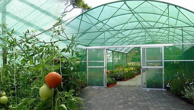 Притеняющая сетка