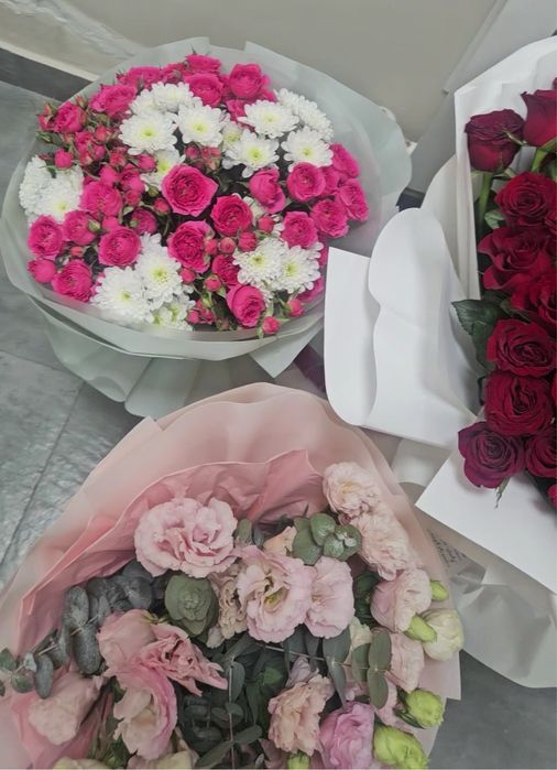 Продам б/у цветы не дорого