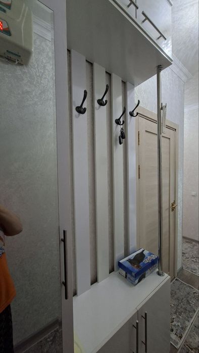 Shkaf, Dom dahliziga moslashgan. 2024 yil asalgan. Narhi kelishilgan.