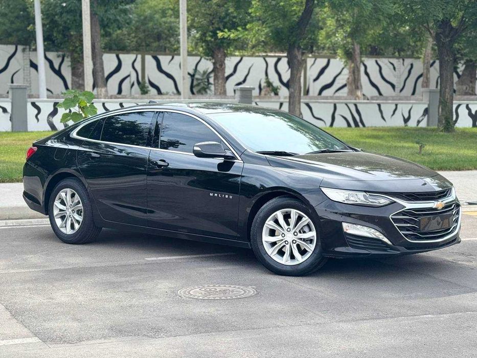 Малибу -2 Премиер кора 2022й краска тозза