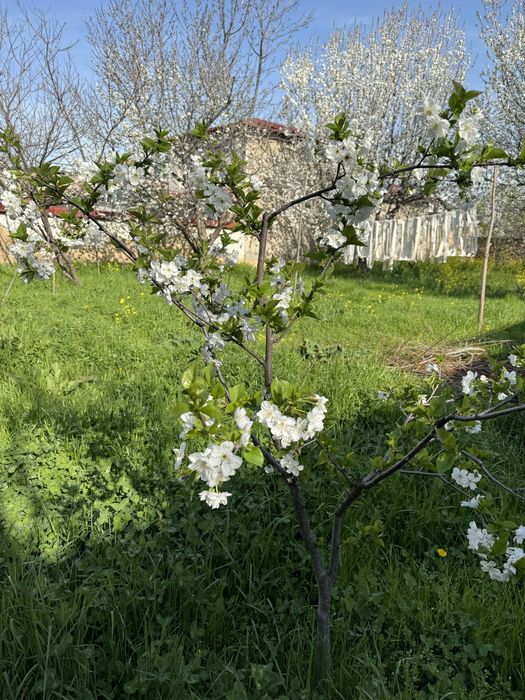 Загородный Огромный дом