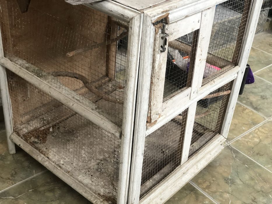 Kletka sotildi papugaylar qushlar uchun