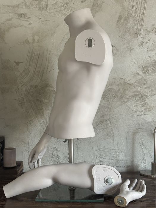 Манекен торс, 2 броя мъжки и 2 дамски. Гъвкави дървени ръце за манекен.