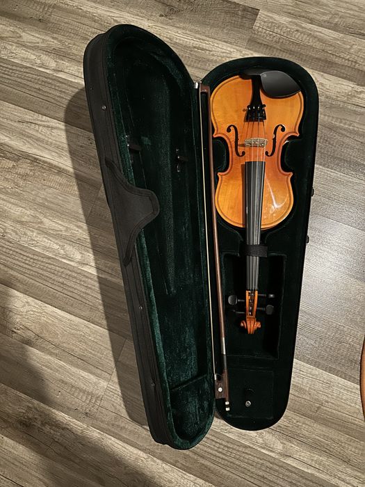Vioara Antoni debut
