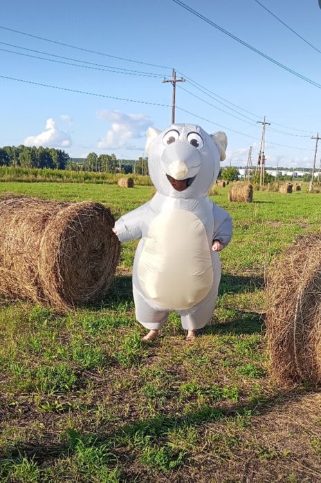 Сдам напрокат костюм крысы