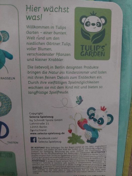 Centru de activități