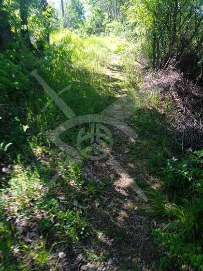 Продава се Парцел в Варна, Възраждане 1 - 998 кв.м за 15 €/кв.м - Снимка #1